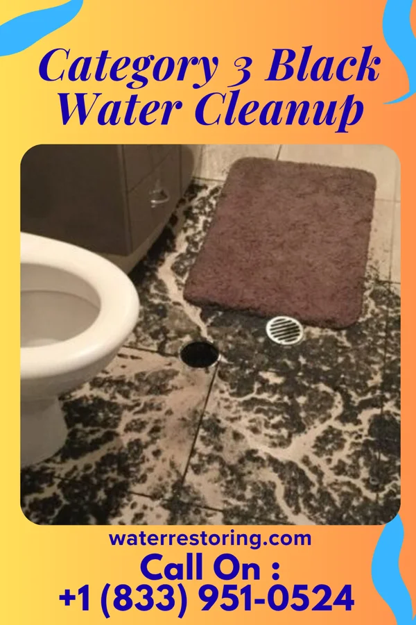 Category 3 Black Water Cleanup in Mitchellville, TN
