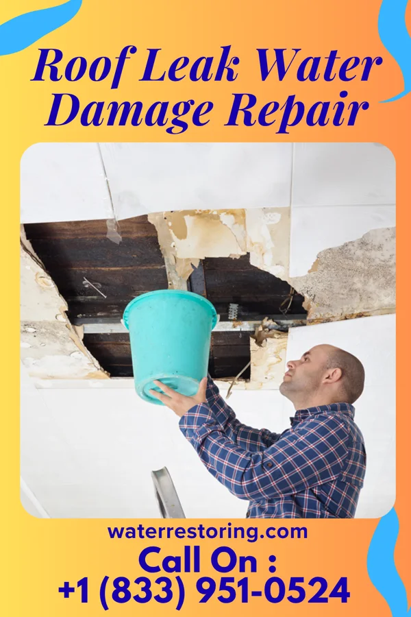 Roof Leak Water Damage Repair in Mitchellville, TN